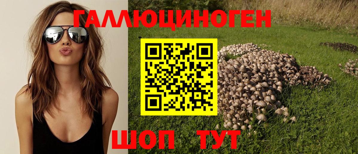 Псилоцибиновые грибы Psilocybine cubensis Лыткарино